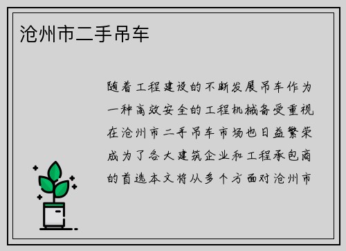 沧州市二手吊车 沧州市二手吊车