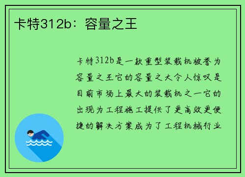 卡特312b:容量之王 卡特312b:容量之王